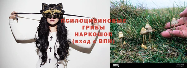 ПСИЛОЦИБИНОВЫЕ ГРИБЫ Богородск