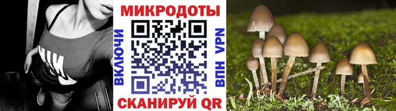 Псилоцибиновые грибы мицелий  Кольчугино 
